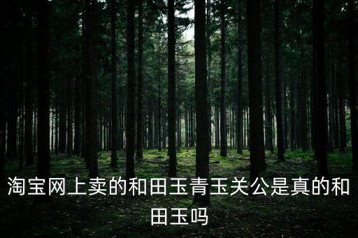 淘寶網(wǎng)上賣的和田玉青玉關(guān)公是真的和田玉嗎