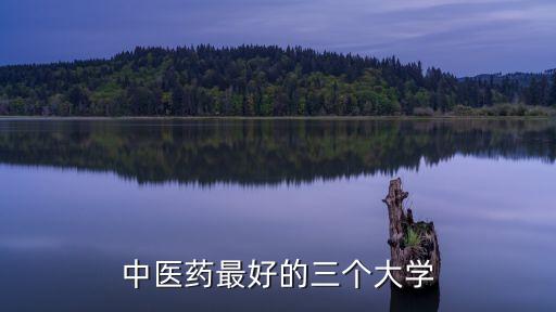 天津中醫(yī)藥大學(xué)排名,全國中醫(yī)學(xué)院排名:南大中醫(yī)藥大學(xué)、中南大學(xué)等