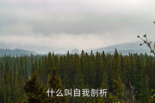 剖析是什么意思，什么叫自我剖析