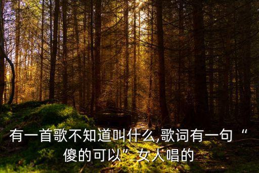 傻得可以,傻的可以是什么?林建良改編歌曲:小宇