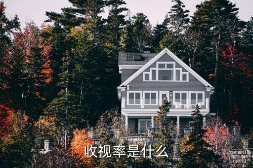 收視率，收視率是什么