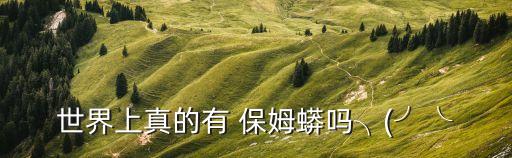 保姆蟒,《再被狐貍騙一次》獲獎作品集出爐