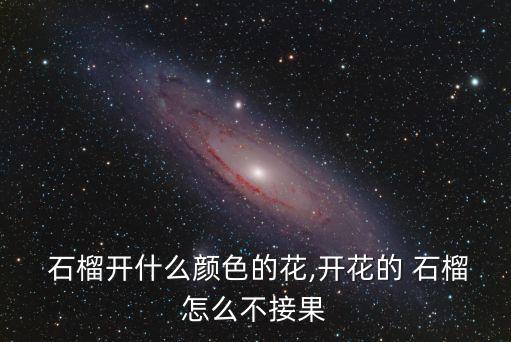  石榴開什么顏色的花,開花的 石榴怎么不接果