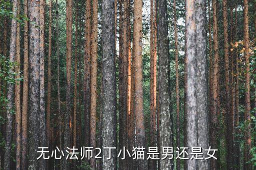 無心法師演員表2，無心法師第二部岳綺羅還是陳瑤演嗎
