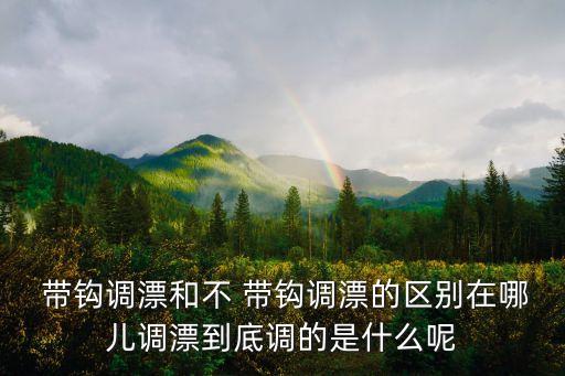  帶鉤調漂和不 帶鉤調漂的區(qū)別在哪兒調漂到底調的是什么呢