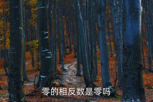 零的相反數是零嗎
