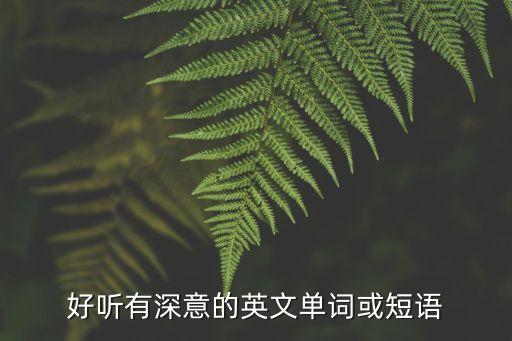 有深意的英文單詞，英文單詞以IFE開頭的有深度的哲理性單詞有哪些