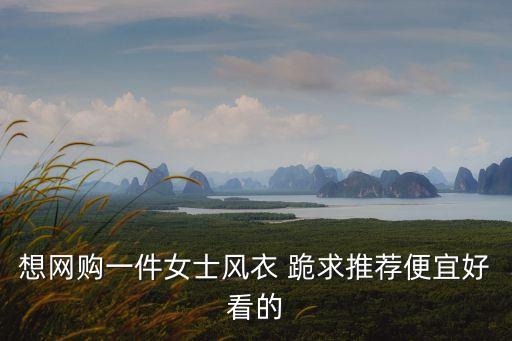 想網(wǎng)購一件女士風衣 跪求推薦便宜好看的