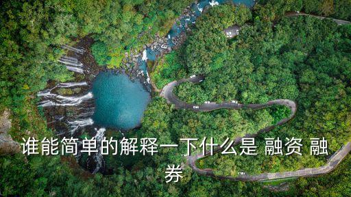 誰能簡單的解釋一下什么是 融資 融券