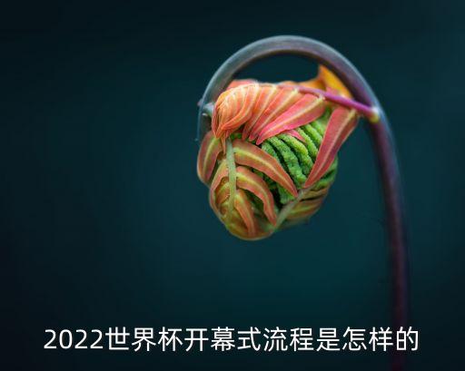 開幕式議程，奧運(yùn)會(huì)開幕式有幾個(gè)分程