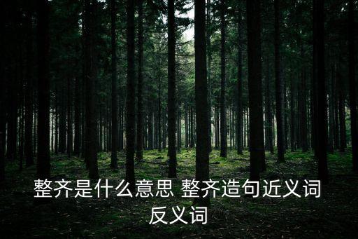  整齊是什么意思 整齊造句近義詞 反義詞
