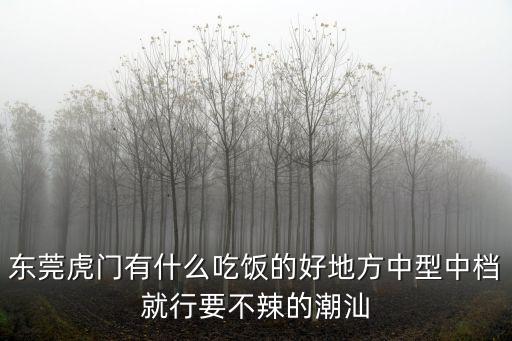 東莞適合男女吃飯的中餐廳地方，東莞虎門有什么吃飯的好地方中型中檔就行要不辣的潮汕
