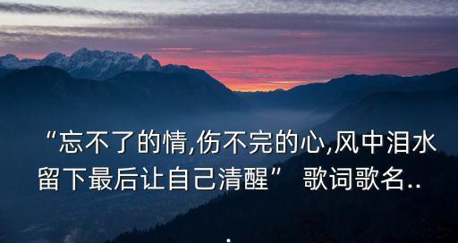 “忘不了的情,傷不完的心,風(fēng)中淚水留下最后讓自己清醒” 歌詞歌名...