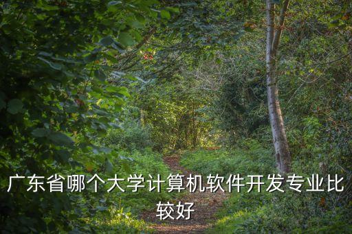 廣東省哪個大學計算機軟件開發專業比較好
