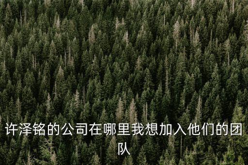 許澤銘的公司在哪里我想加入他們的團隊