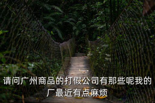 請問廣州商品的打假公司有那些呢我的廠最近有點麻煩