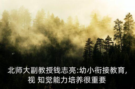 視知覺,視覺接收和視覺認知包括視覺經驗