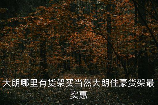 大朗哪里有貨架買當然大朗佳豪貨架最實惠