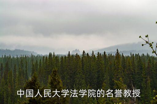 中國人民大學法學院的名譽教授