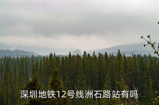 深圳地鐵12號線洲石路站有嗎