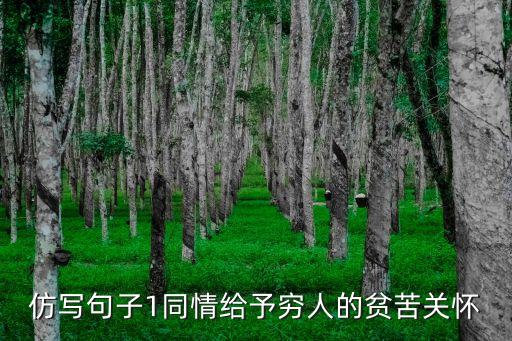 仿寫句子1同情給予窮人的貧苦關(guān)懷