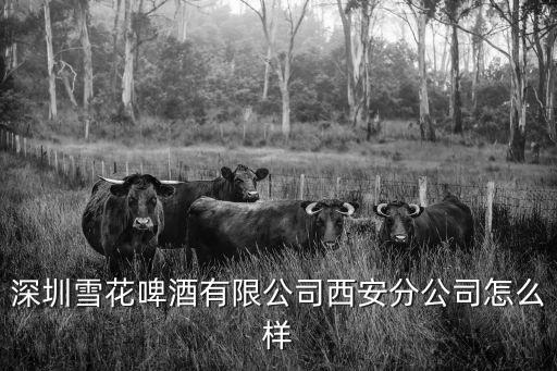 雪花啤酒深圳有限公司，雪花啤酒是什么公司的啊有上市嗎