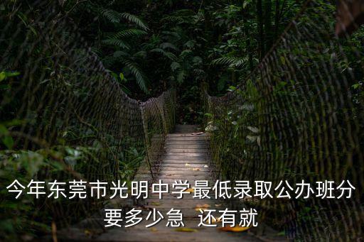 東莞小升初要考多少分才能錄取，今年6年級了讀完下個學期就要考初中啊我想考東莞東華中學請問要