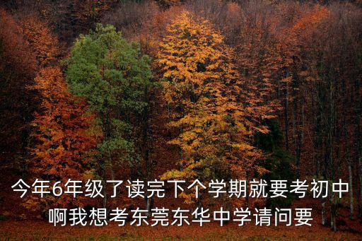 今年6年級(jí)了讀完下個(gè)學(xué)期就要考初中啊我想考東莞東華中學(xué)請(qǐng)問(wèn)要