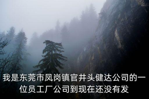 廣東東莞鳳崗鎮官井頭茂盛廠圖片，我是東莞市鳳崗鎮官井頭健達公司的一位員工廠公司到現在還沒有發