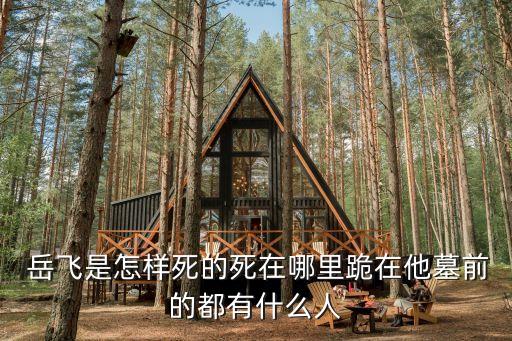  岳飛是怎樣死的死在哪里跪在他墓前的都有什么人