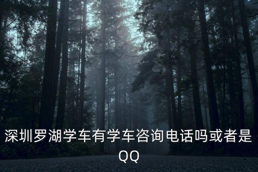 深圳羅湖學(xué)車有學(xué)車咨詢電話嗎或者是QQ