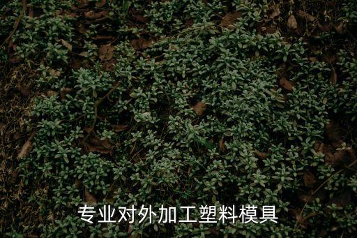 東莞大朗嘉鴻橡膠模具，橡塑共混膠為什么易弄臟模具nbrpvc共混膠