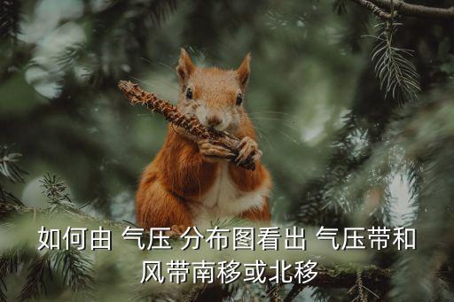 氣壓帶風帶分布圖,一文讀懂!本地的氣壓帶有哪些?