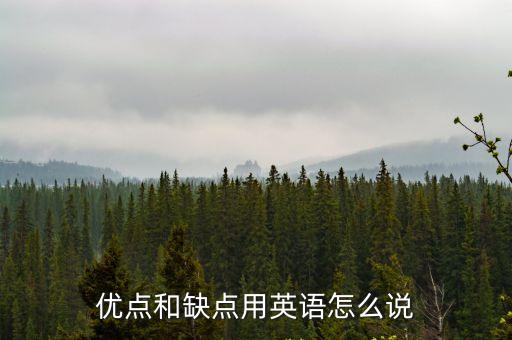 優缺點英語，優點和缺點用英語怎么說