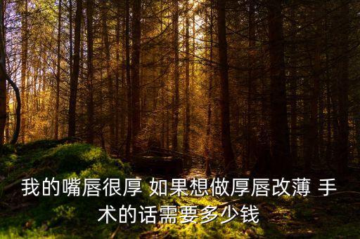 我的嘴唇很厚 如果想做厚唇改薄 手術的話需要多少錢
