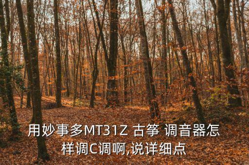 用妙事多MT31Z 古箏 調音器怎樣調C調啊,說詳細點