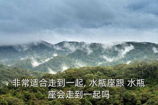 水瓶座和水瓶座配嗎,追水瓶女的絕招