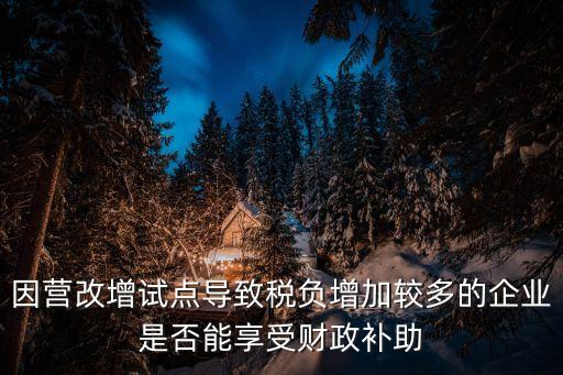 因營改增試點導致稅負增加較多的企業是否能享受財政補助