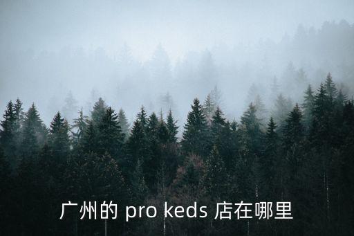 廣州的 pro keds 店在哪里