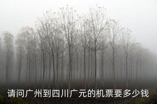 廣元到廣州飛機(jī)多少錢，廣元到廣東飛機(jī)票是多少錢啊