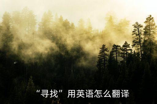 “尋找”用英語怎么翻譯