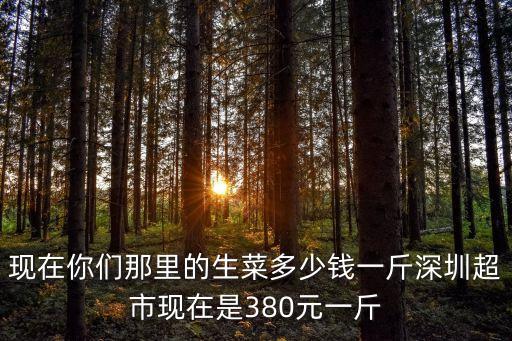 現在東莞菜價咋樣，現在你們那里的生菜多少錢一斤深圳超市現在是380元一斤