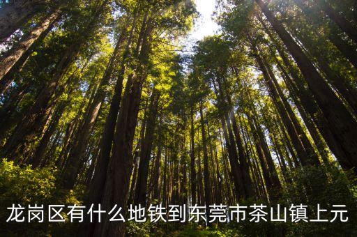 龍崗區有什么地鐵到東莞市茶山鎮上元