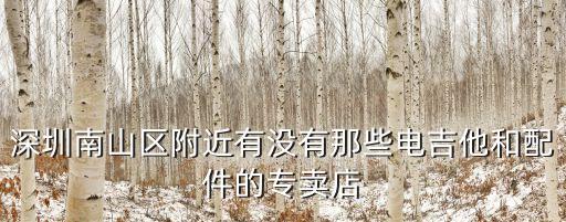 深圳南山區附近有沒有那些電吉他和配件的專賣店