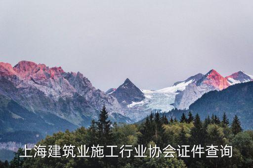 上海建筑業(yè)施工行業(yè)協(xié)會(huì)證件查詢