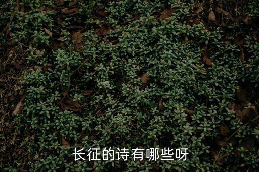  長征的詩有哪些呀