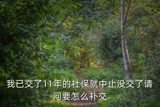 我已交了11年的社保就中止沒交了請問要怎么補交