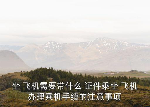 坐 飛機需要帶什么 證件乘坐 飛機辦理乘機手續的注意事項
