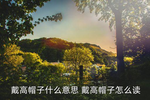戴高帽子,戴高帽子意味著什么?