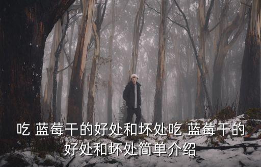 藍莓干的功效與作用,藍莓干功效與作用最重要是對眼睛好